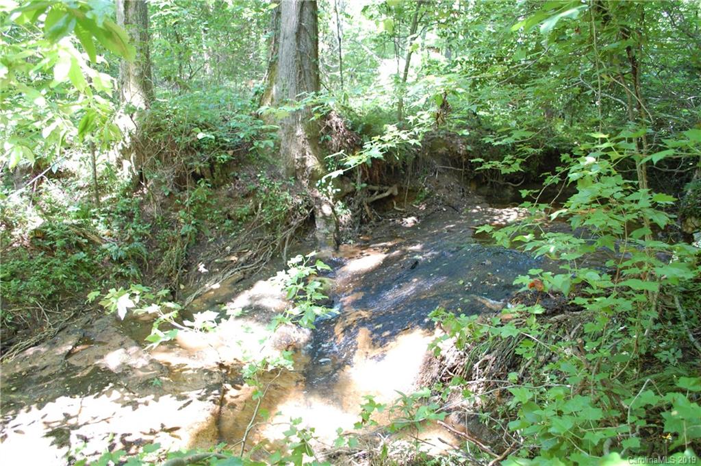 1380 County Line Road Rutherfordton, NC 28139 - Photo 10 of 47