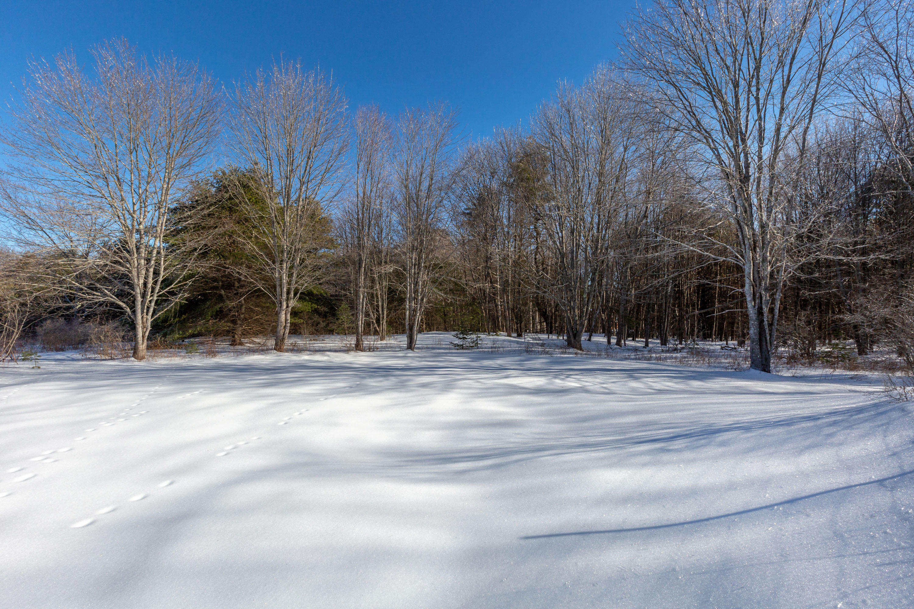423 Mere Point Road Brunswick, ME 04011 - Photo 54 of 57 423 Mere Point Ext 7