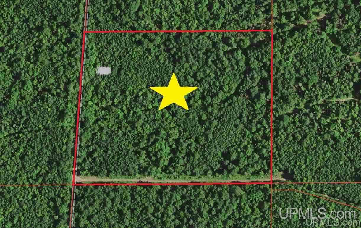 Tbd Tbd Co Road Gwinn, MI 49841 - Photo 1 of 1