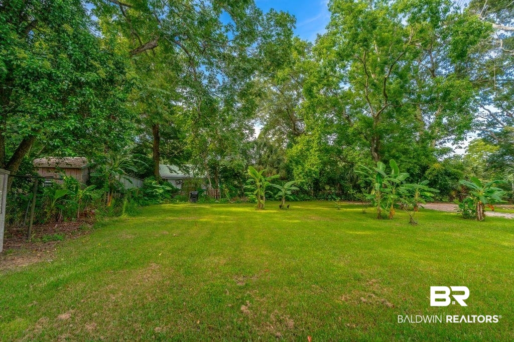 12641 Pecan Street Grand Bay, AL 36541 - Photo 18 of 23 View of yard