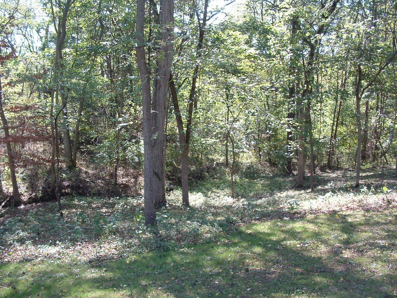 6675 Castle Road Johnstown, OH 43031 - Photo 19 of 46 DSCF0024