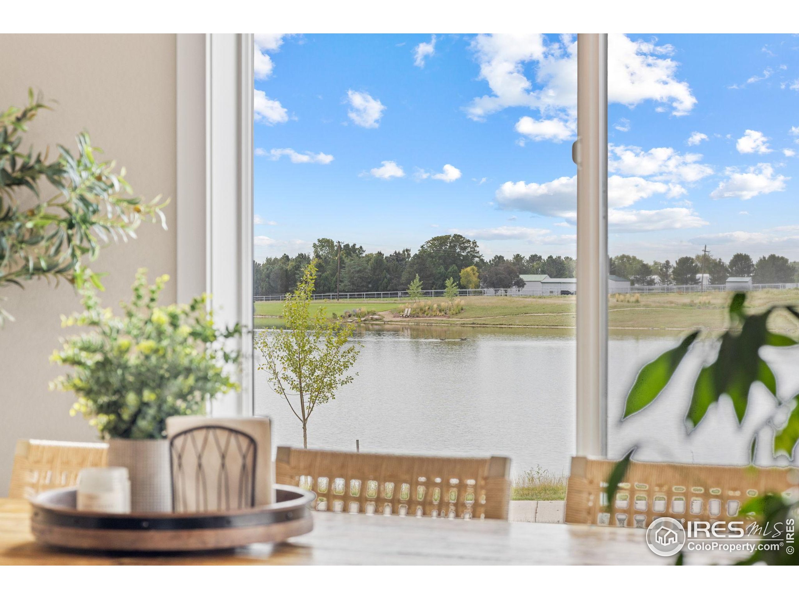 849 Loess Lane Windsor, CO 80550 - Photo 16 of 43