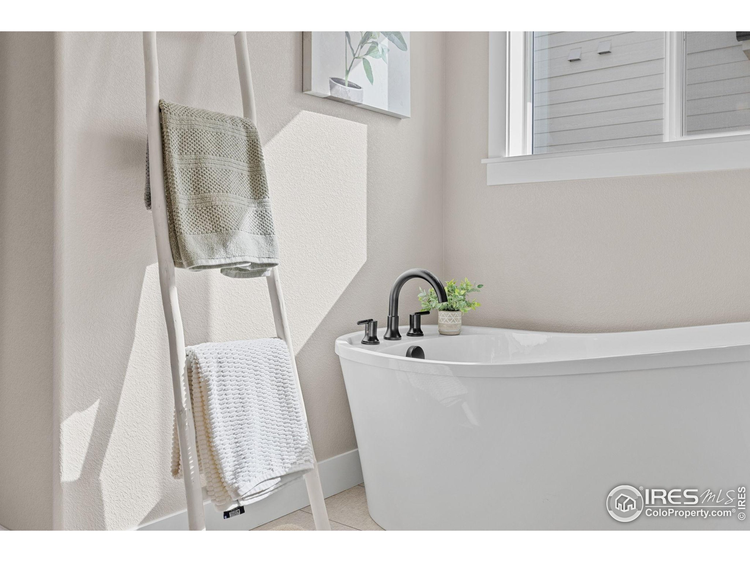 849 Loess Lane Windsor, CO 80550 - Photo 23 of 43