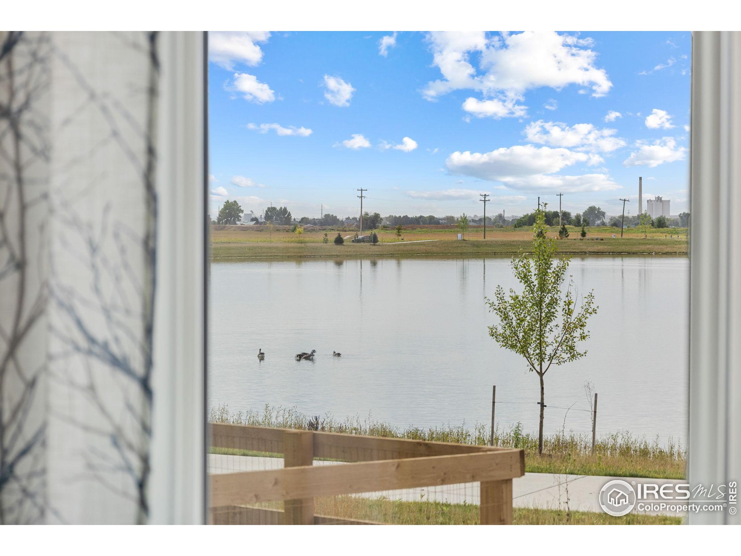 849 Loess Lane Windsor, CO 80550 - Photo 24 of 43