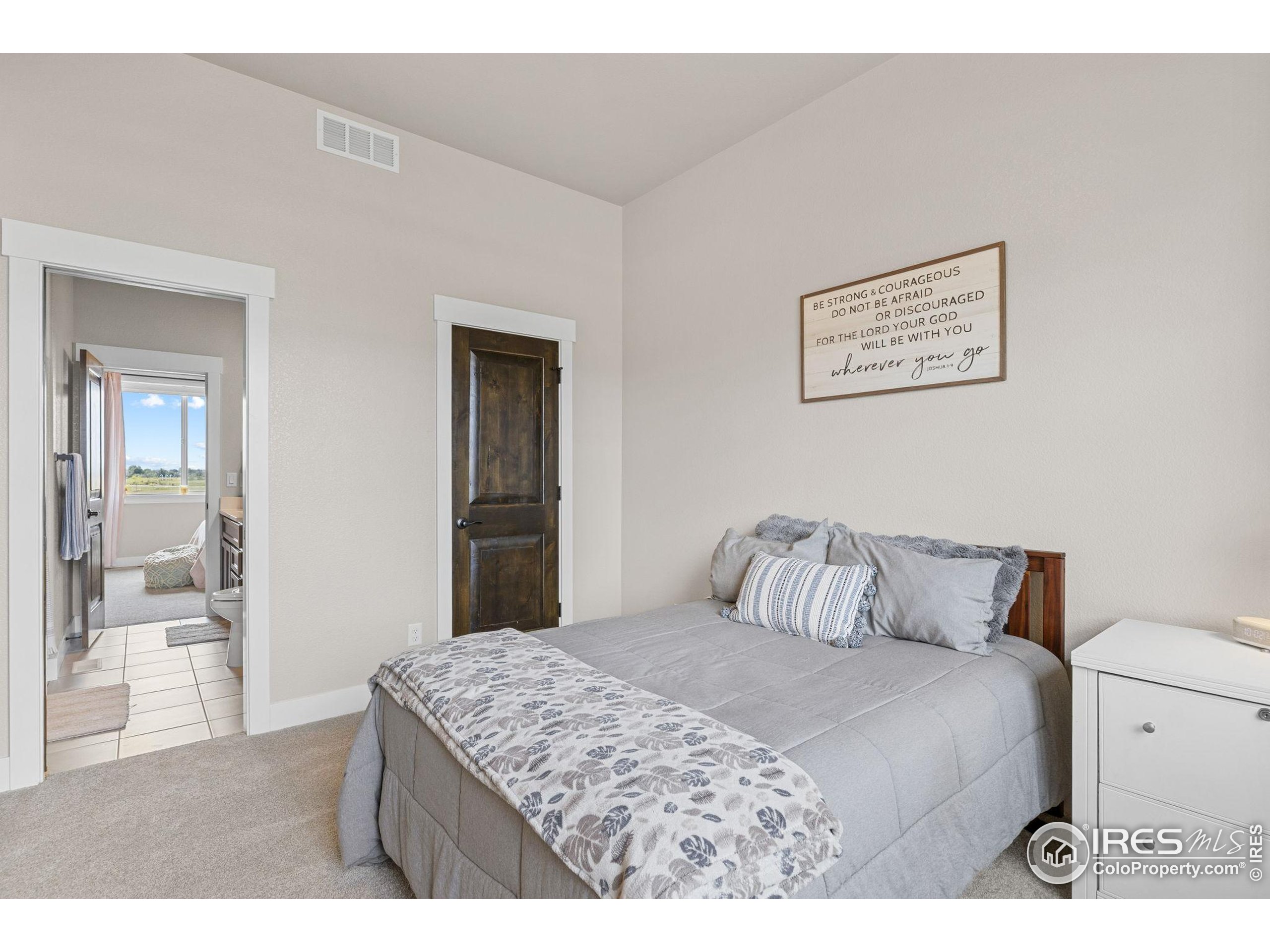 849 Loess Lane Windsor, CO 80550 - Photo 25 of 43