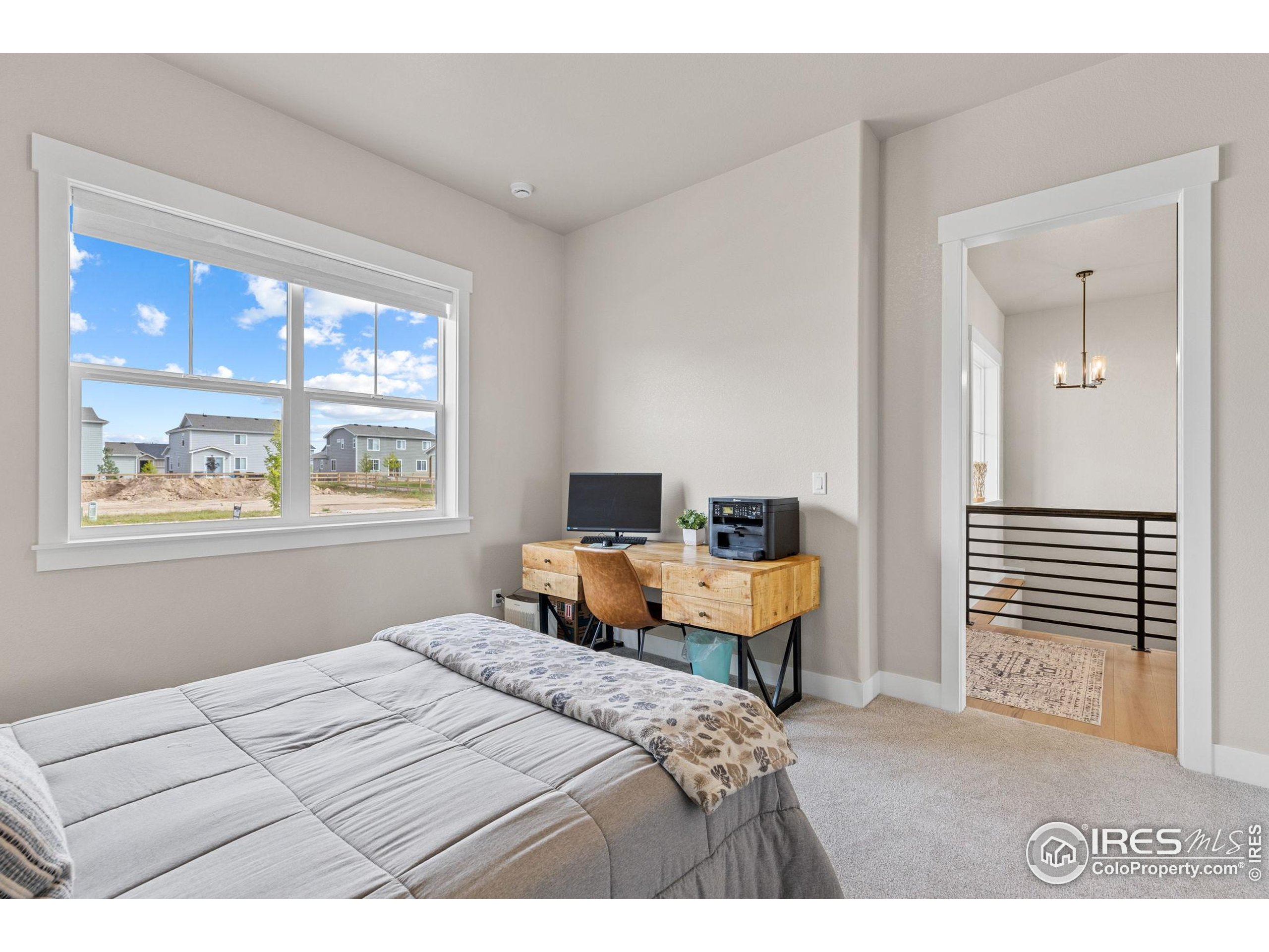 849 Loess Lane Windsor, CO 80550 - Photo 26 of 43