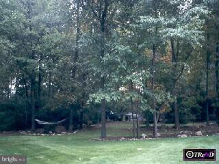 20 Weaver Road Sinking Spring, PA 19608 - Photo 4 of 4
