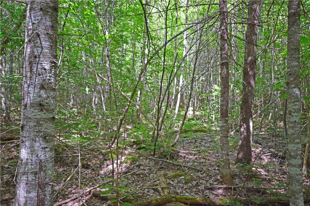 1 Ricker Road Carroll Plt, ME 04487 - Photo 14 of 14 Photo