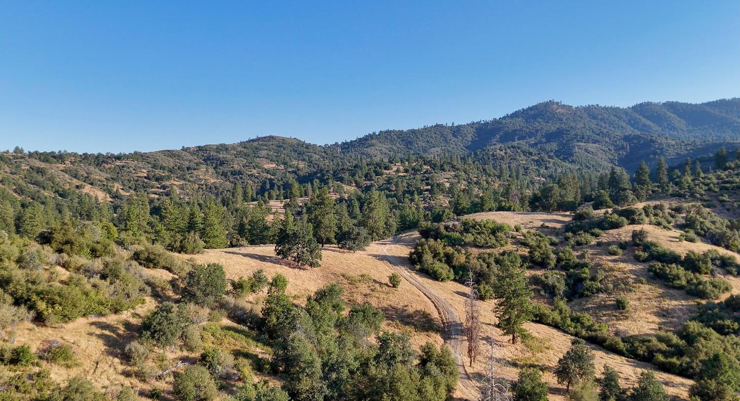 0 Whitaker Forest Road Miramonte, CA 93603 - Photo 69 of 78 a view of a dry yard with mountains in the background