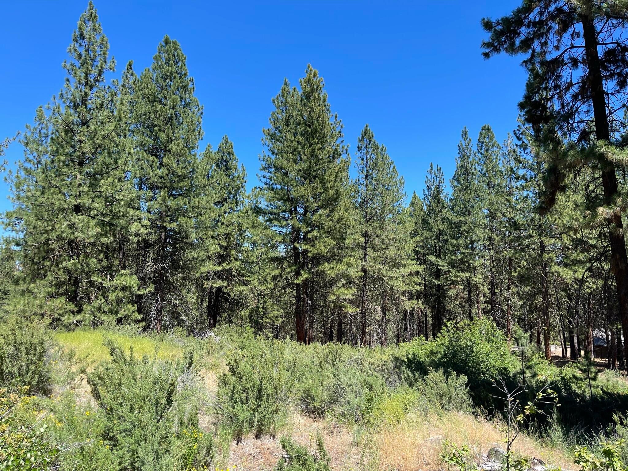 South Waterview Way Chiloquin, OR 97624 - Photo 3 of 15 IMG_4046