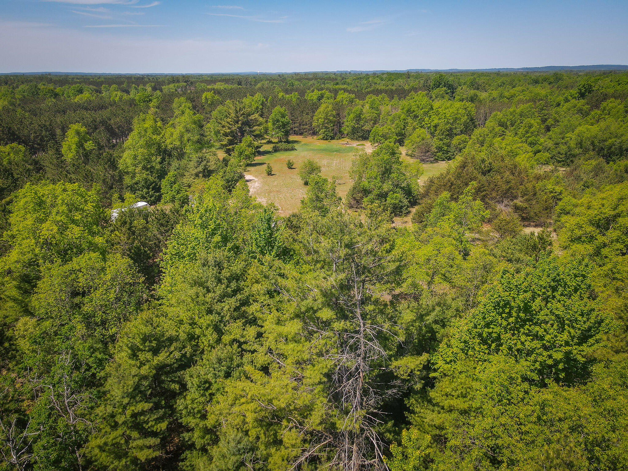 Parcel A Makinen Road Kaleva, MI 49645 - Photo 18 of 29 DJI_0295