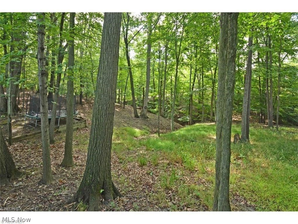 18125 Falling Leaves Road Strongsville, OH 44136 - Photo 22 of 23 Gallery Image 22