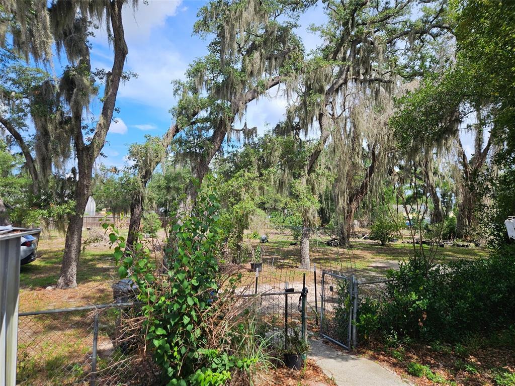 8603 Alafia Ridge Road Riverview, FL 33569 - Photo 7 of 13 a view of outdoor space yard and green space