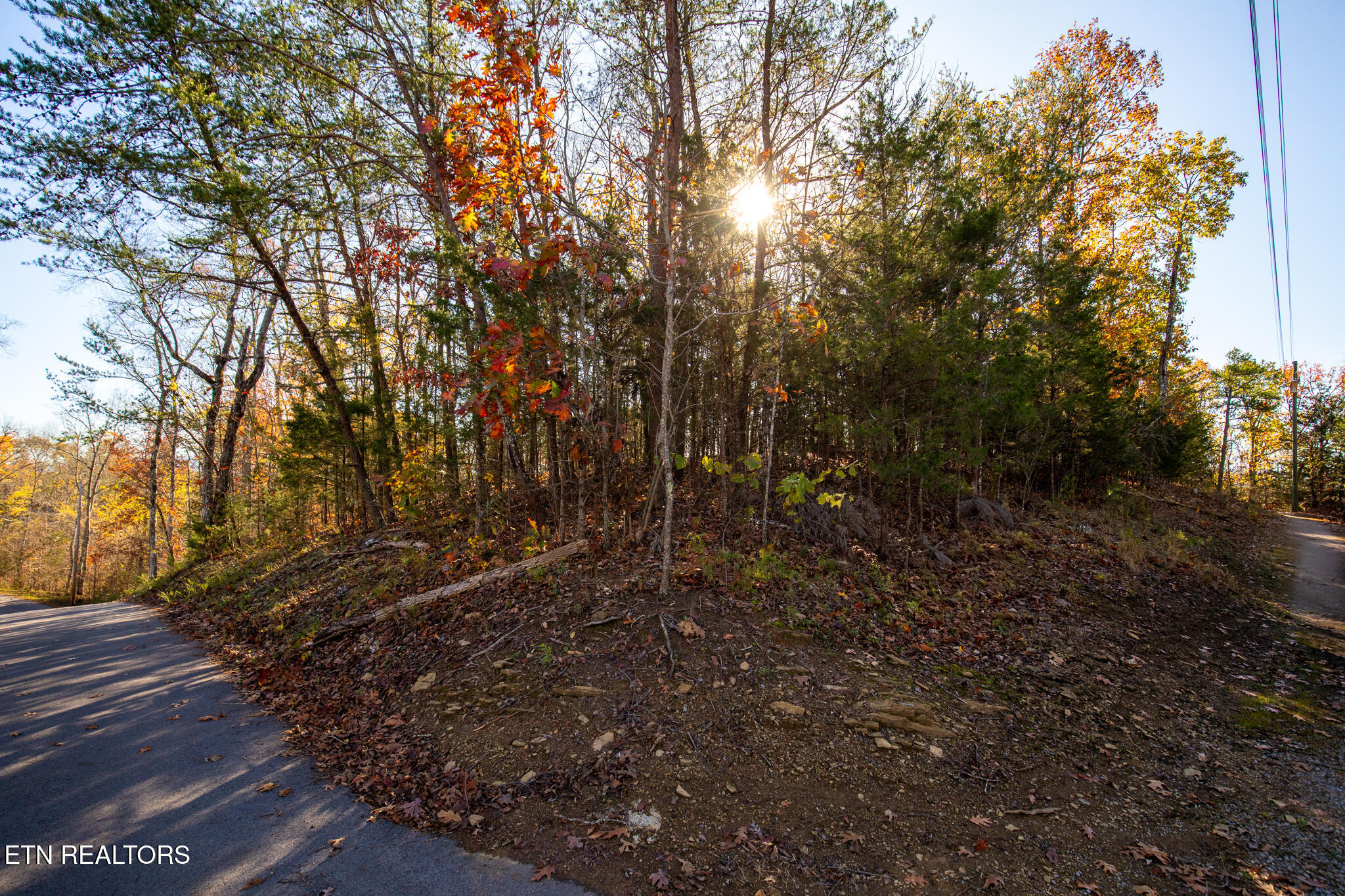 Moonside Lane Sevierville, TN 37876 - Photo 11 of 15 Lot#4 - MOONSIDE LN - Sevierville-11