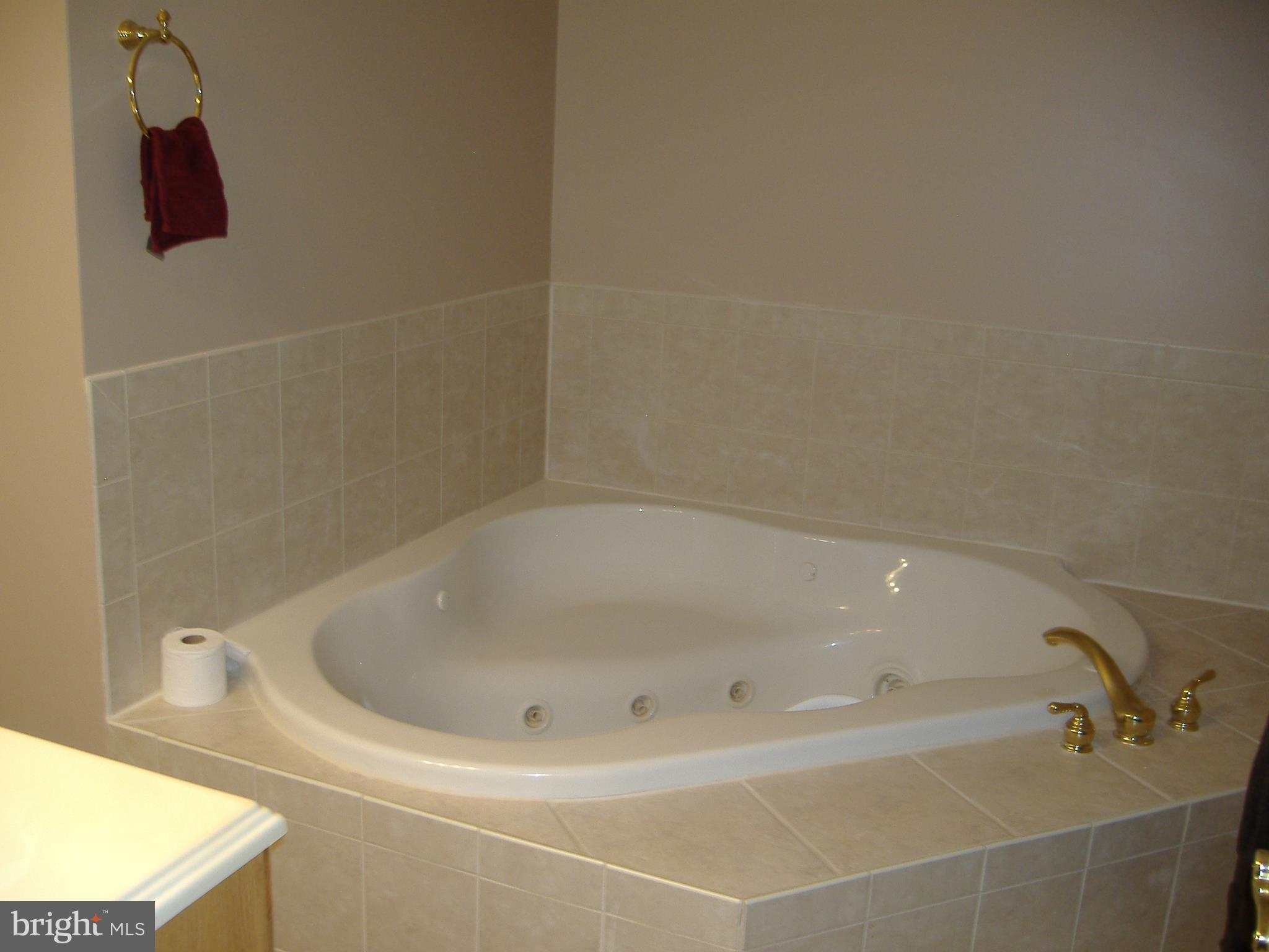 7983 Tick Neck Road Pasadena, MD 21122 - Photo 11 of 12 Bath