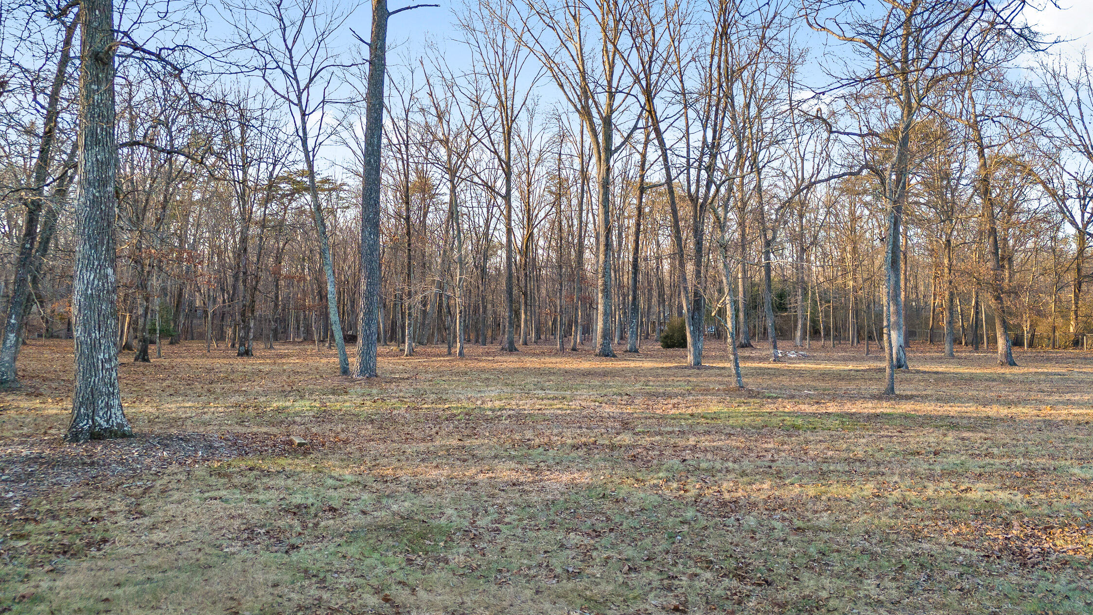 2819 Kell Road Signal Mountain, TN 37377 - Photo 98 of 104 Kell-123