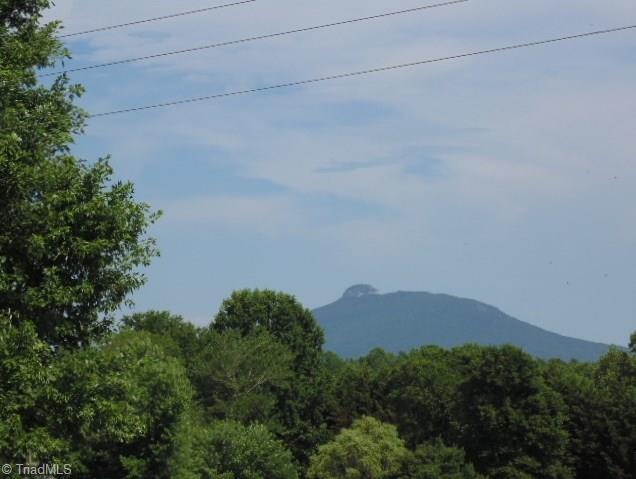 0 Chilton Road Ararat, NC 27007 - Photo 1 of 6 Gallery Image 1