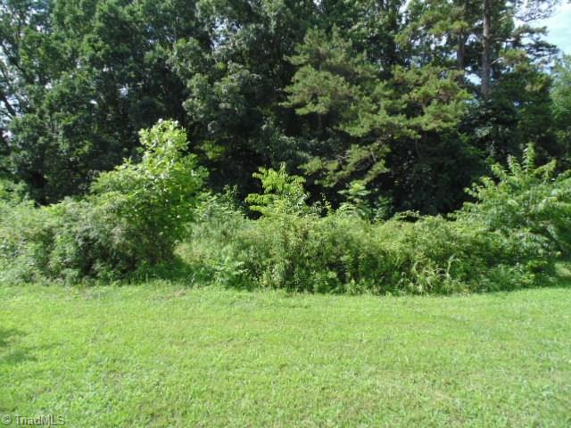 0 Chilton Road Ararat, NC 27007 - Photo 3 of 6 Gallery Image 3