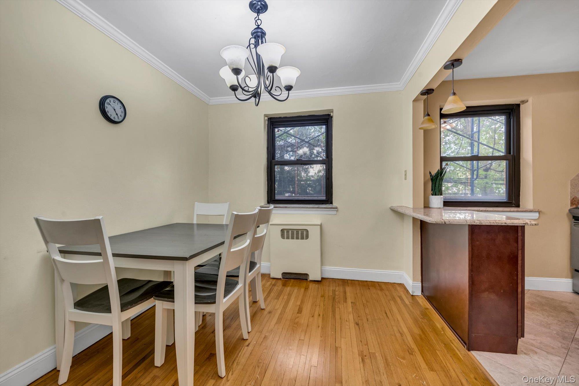 44 Terrace Circle, Unit 1D Great Neck, NY 11021 - Photo 8 of 19