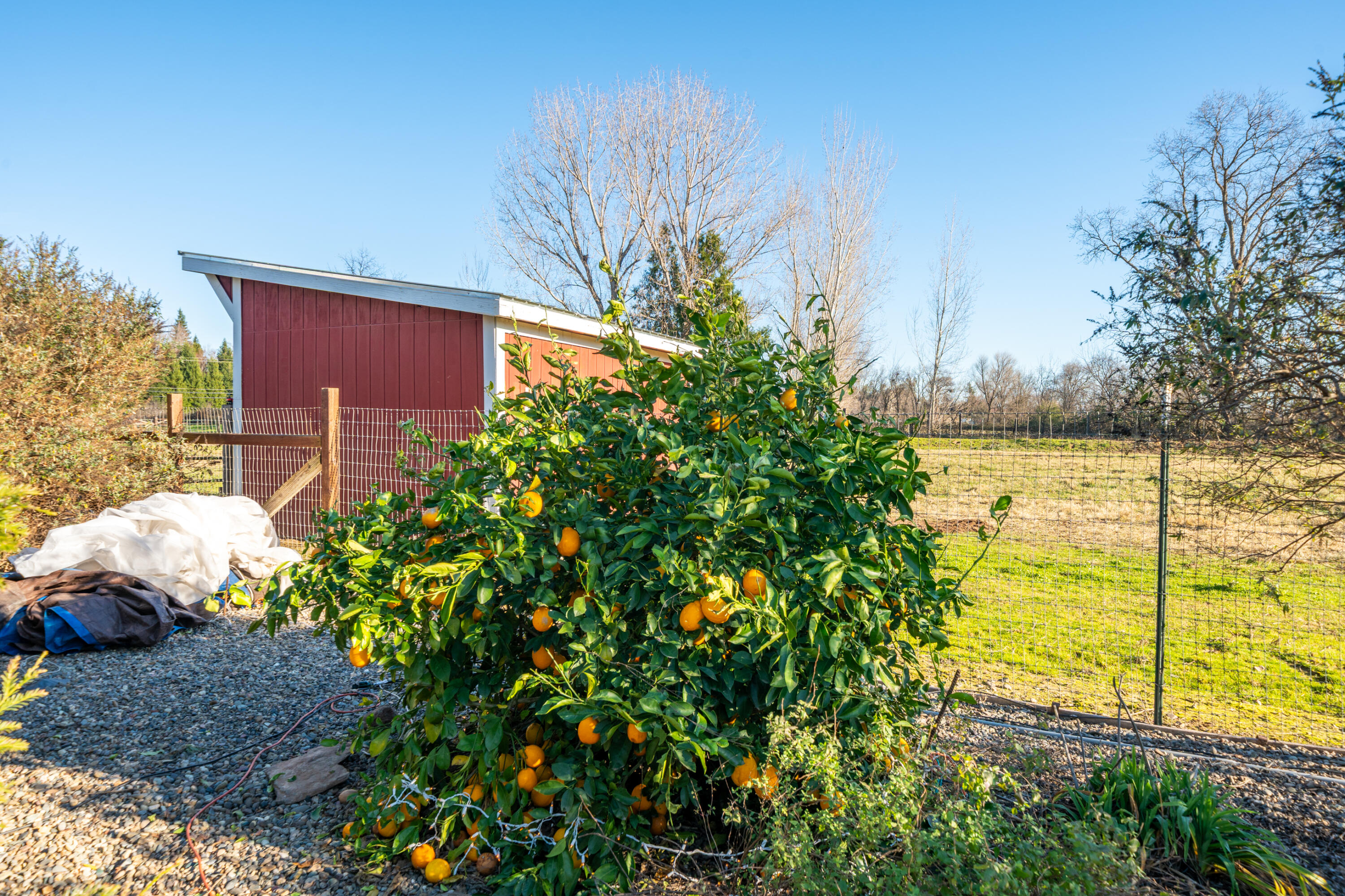 5340 Balls Ferry Road Anderson, CA 96007 - Photo 43 of 71 5340 Balls Ferry Rd-83