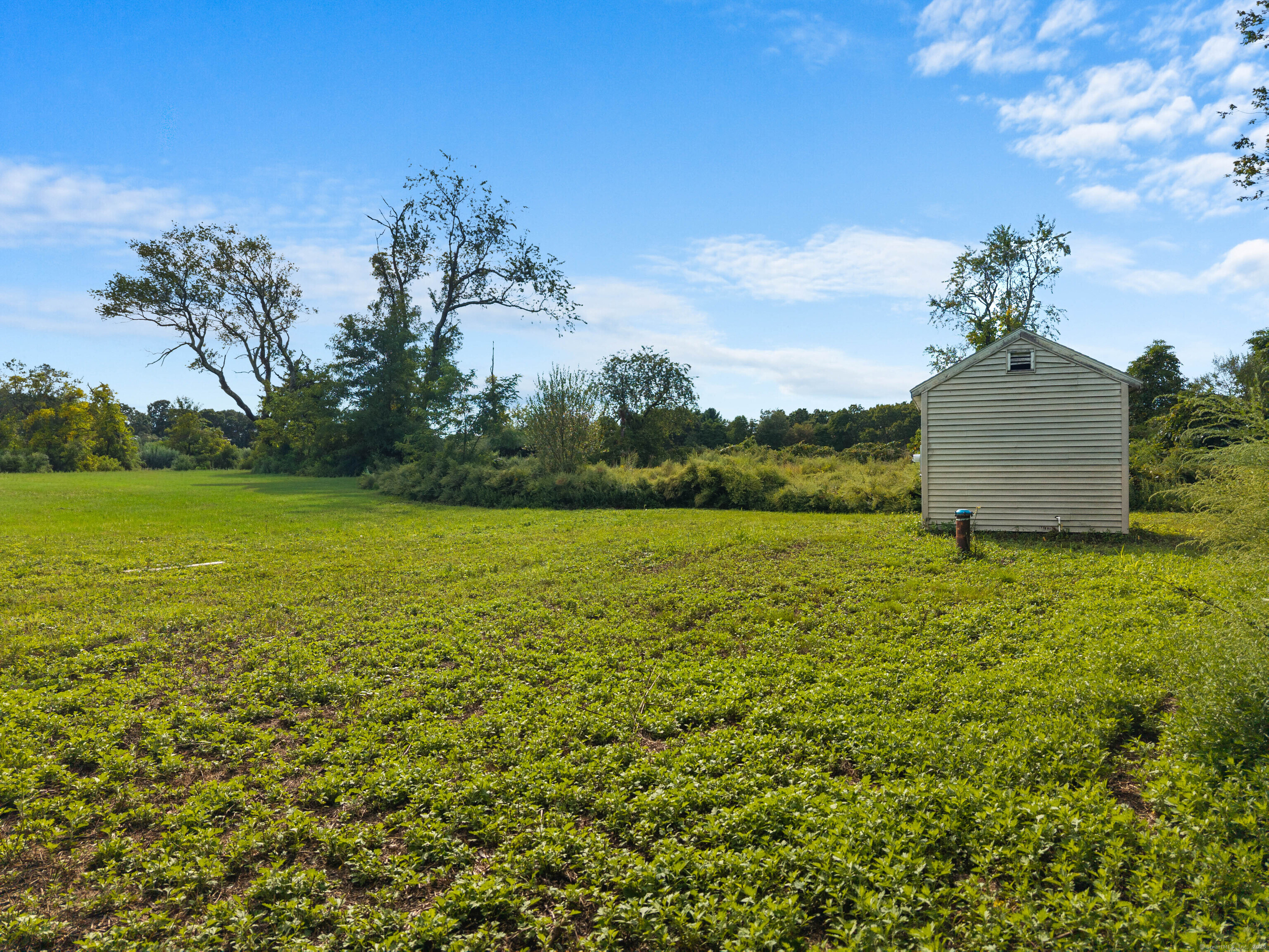 224 Shore Road Old Lyme, CT 06371 - Photo 22 of 25 a view of a garden