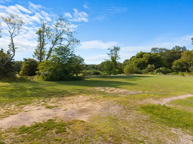 a view of a field with a tree in the background