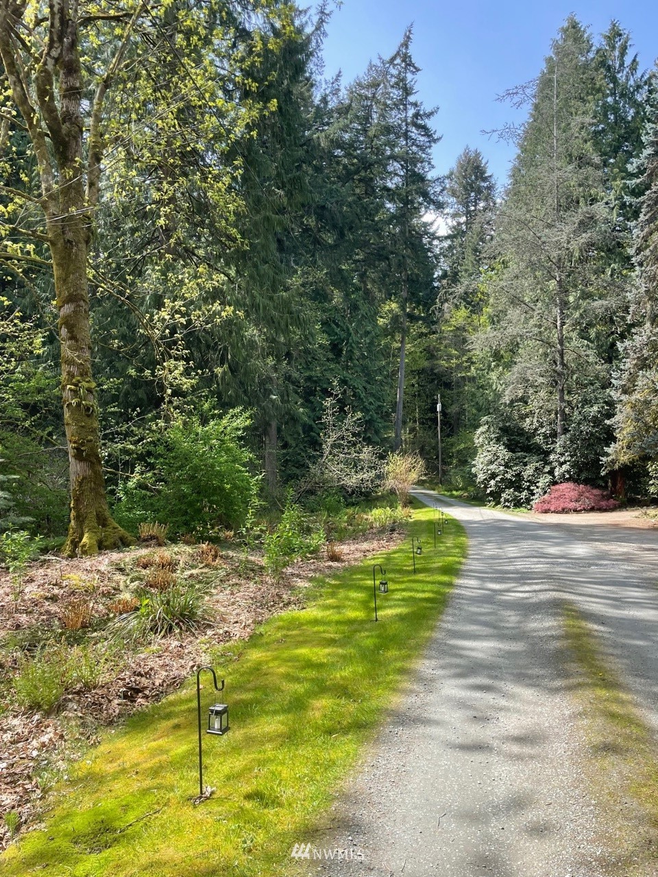 23232 53rd Avenue Southeast Bothell, WA 98021 - Photo 8 of 10 a view of swimming pool with a yard