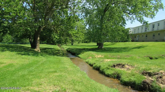 a view of a garden with a tree
