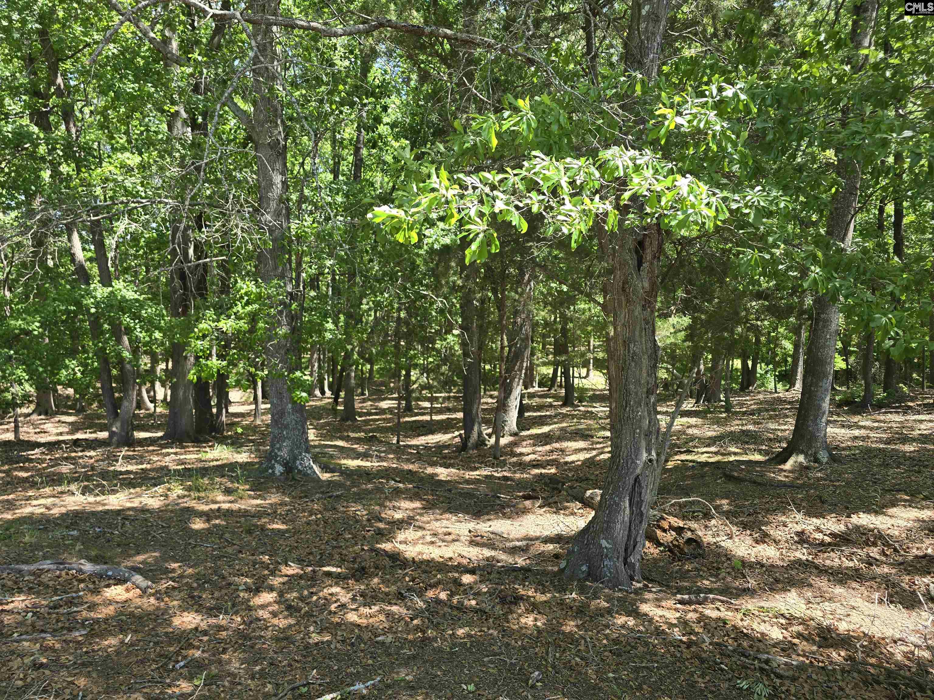 542 Pea Ridge Highway Jonesville, SC 29353 - Photo 44 of 72