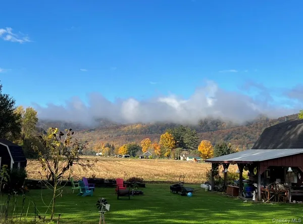 a view of a garden with a tree