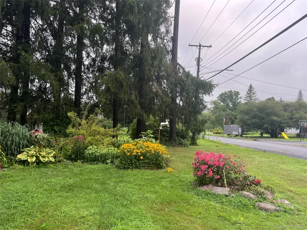 $225,000 | 50 Depot Street, Downsville, NY 13755