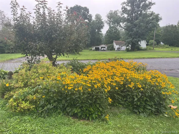 $225,000 | 50 Depot Street, Downsville, NY 13755