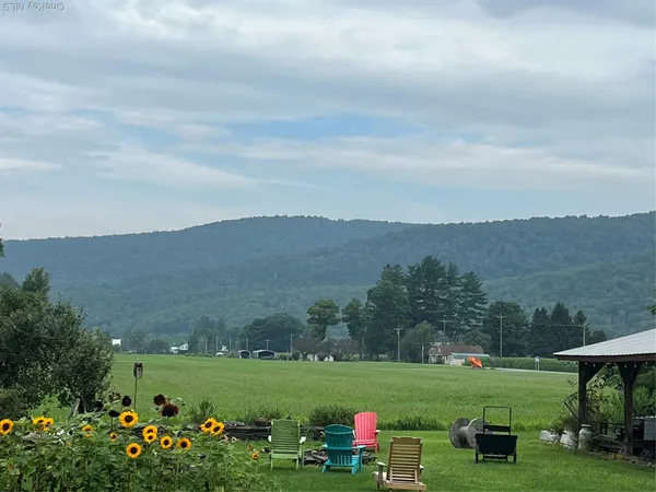 $225,000 | 50 Depot Street, Downsville, NY 13755