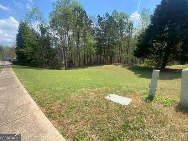 a view of a backyard