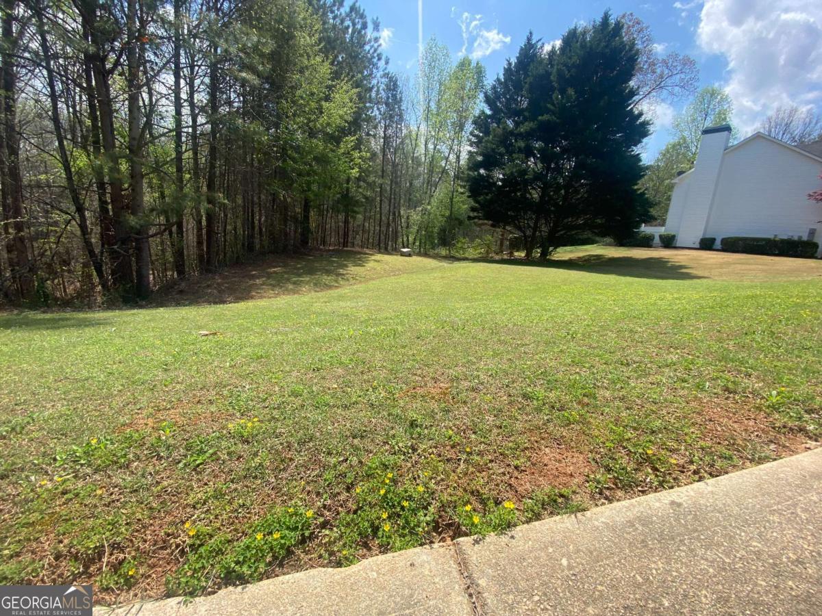 7293 Litany Court, Unit LOT 49 Flowery Branch, GA 30542 - Photo 3 of 6 a view of yard with tree