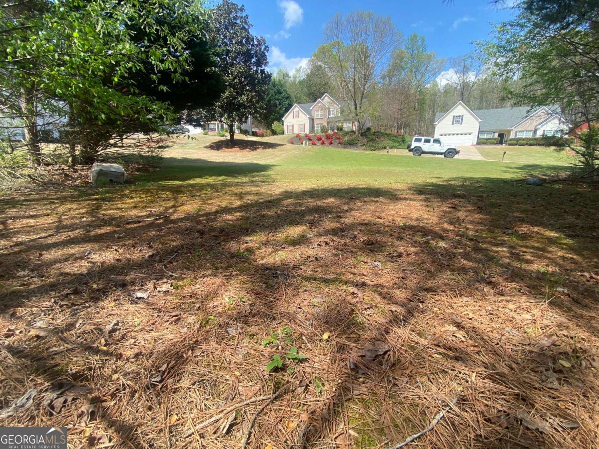 7293 Litany Court, Unit LOT 49 Flowery Branch, GA 30542 - Photo 4 of 6 a view of a fountain in front of a house with a yard