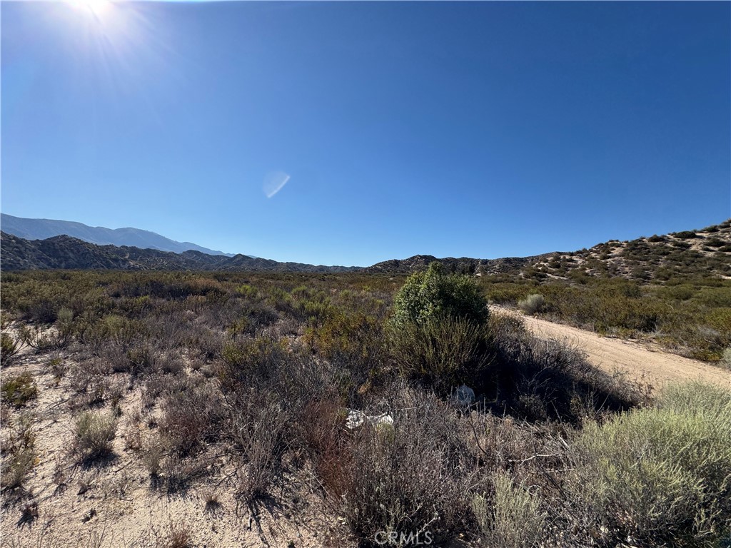 4292 Davis Ranch Road Phelan, CA 92371 - Photo 4 of 50 a view of mountain and tree