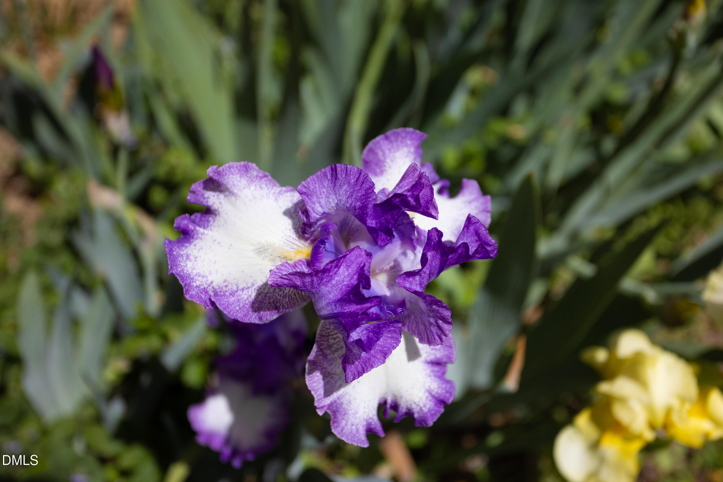 3409 Pickett Road Durham, NC 27705 - Photo 33 of 53 3409_Pickett_MLS-53