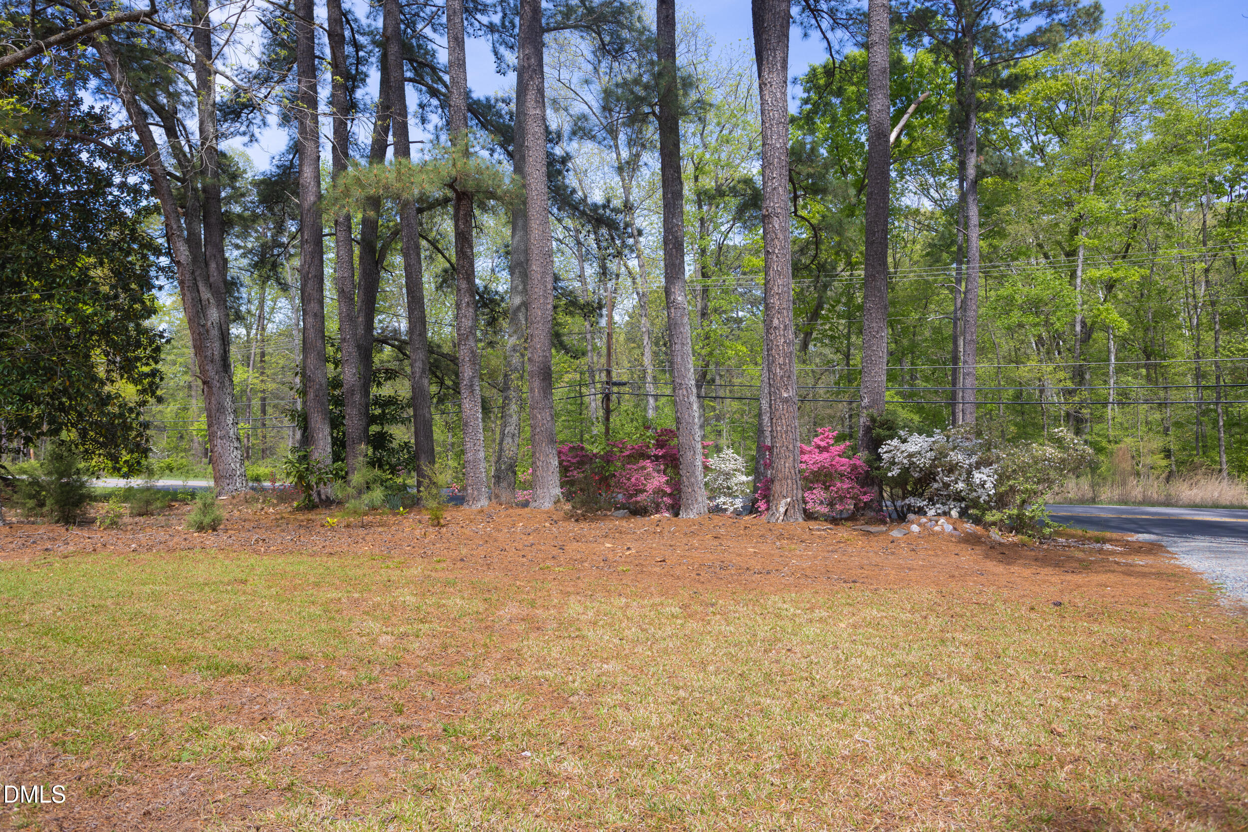 3409 Pickett Road Durham, NC 27705 - Photo 51 of 53 3409_Pickett_MLS-5