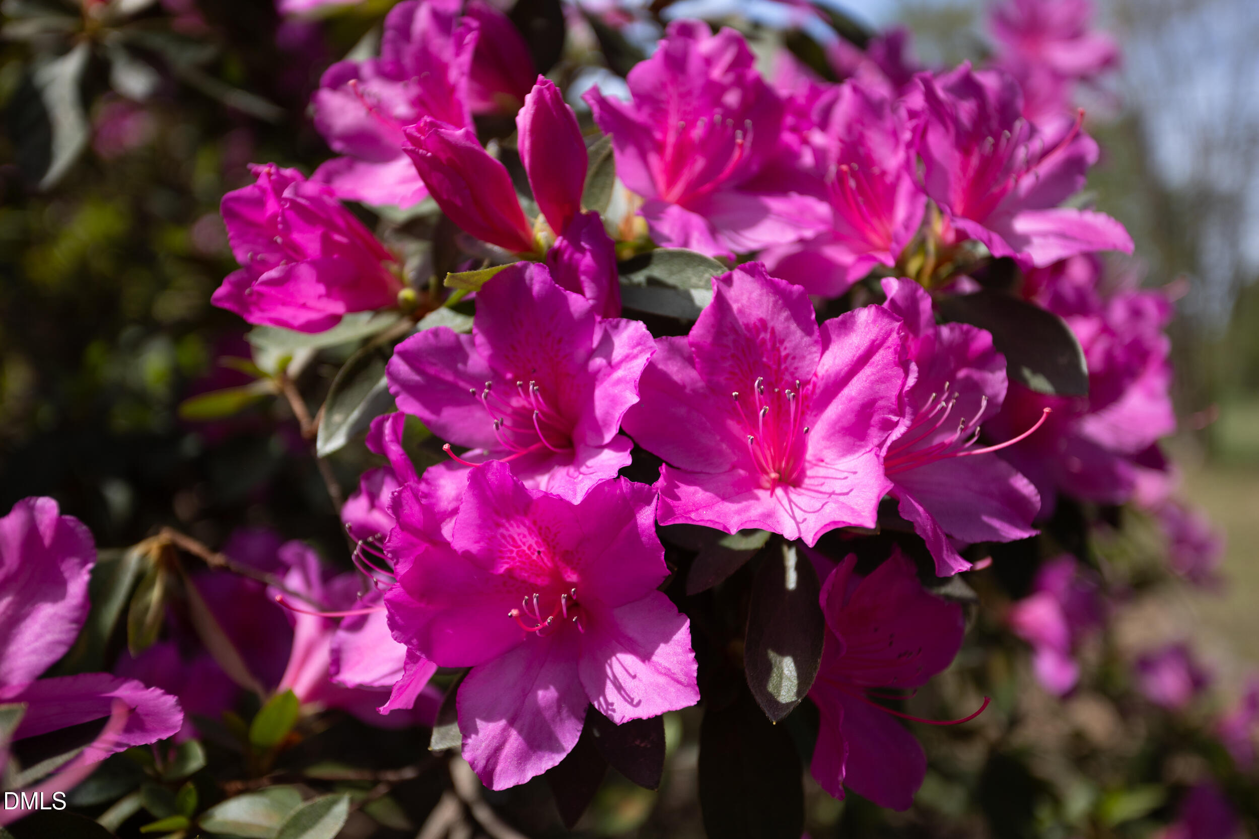 3409 Pickett Road Durham, NC 27705 - Photo 53 of 53 3409_Pickett_MLS-8