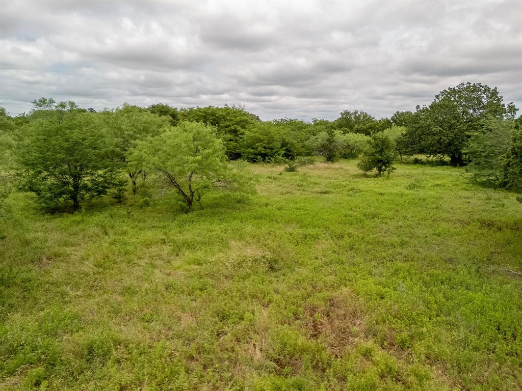 5 County Road 159 Riesel, TX 76682 - Photo 29 of 35 a view of a green field with lots of bushes