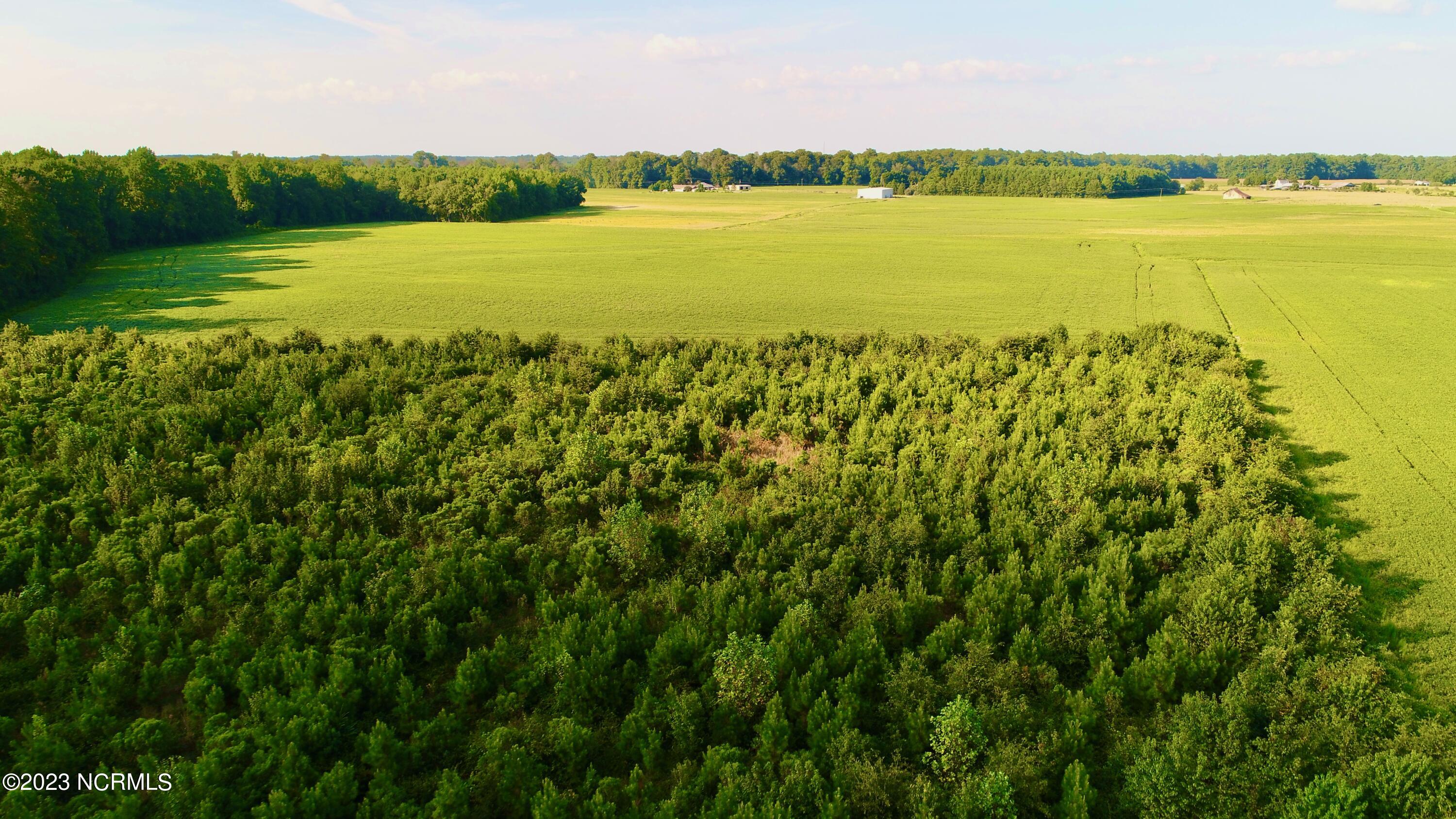 2334 West Millpond Road Roper, NC 27970 - Photo 47 of 52 DJI_0749