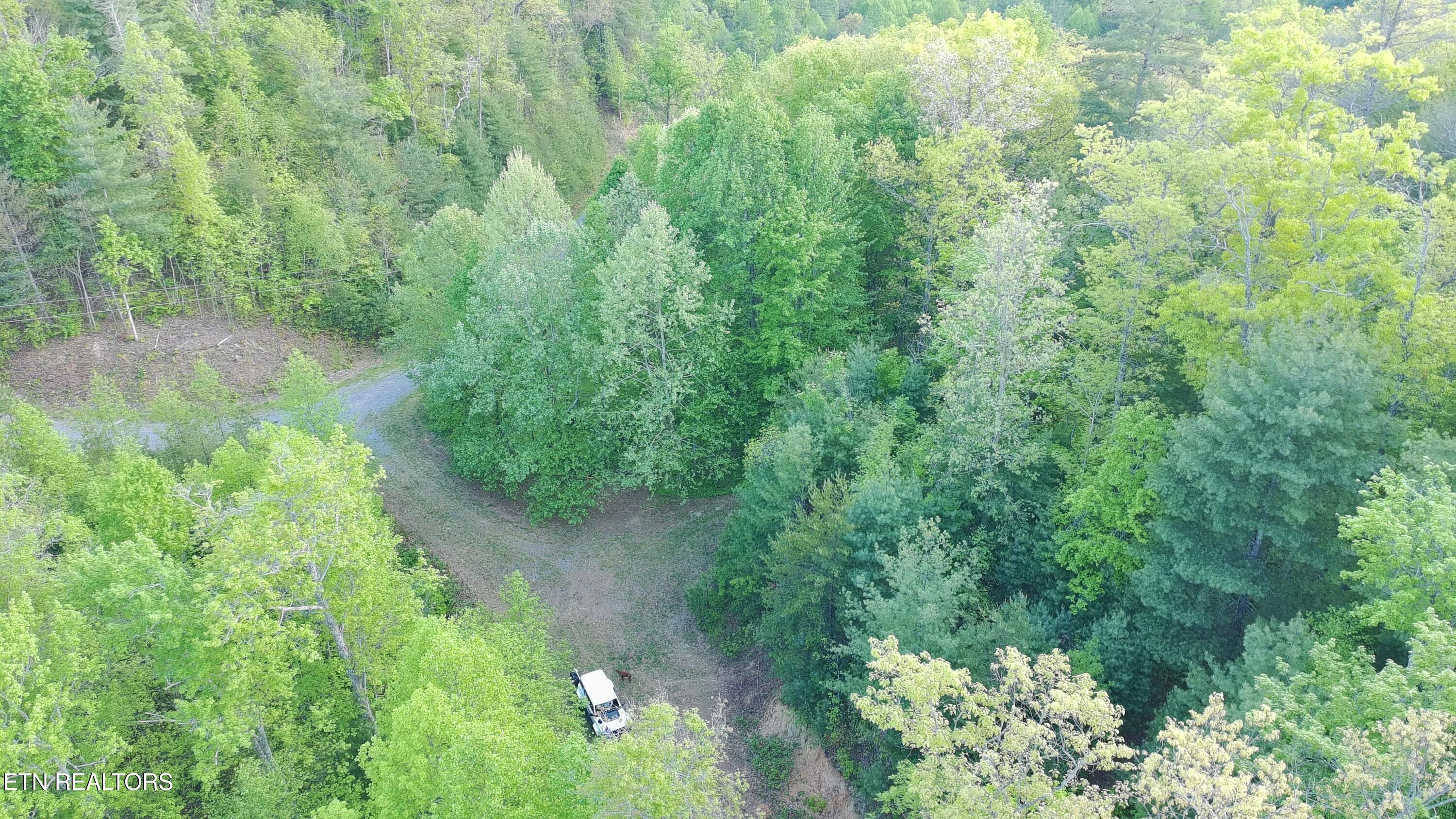 Lot 41 Black Maple Way Del Rio, TN 37727 - Photo 8 of 23 Black Maple Aerial2