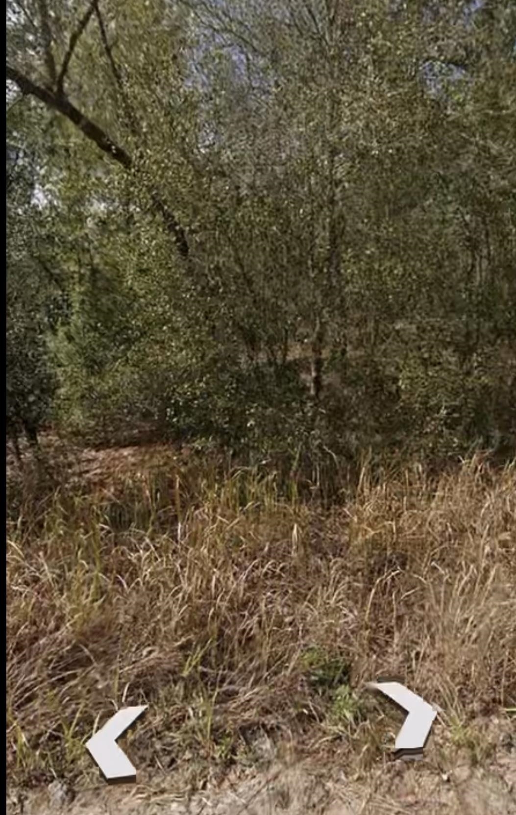 134 Volusia Drive Interlachen, FL 32148 - Photo 3 of 5