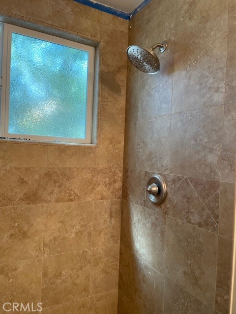 10645 East Ave R 12 Littlerock, CA 93543 - Photo 18 of 23 a view of a bathroom