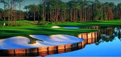 a view of a table and chairs and potted plants