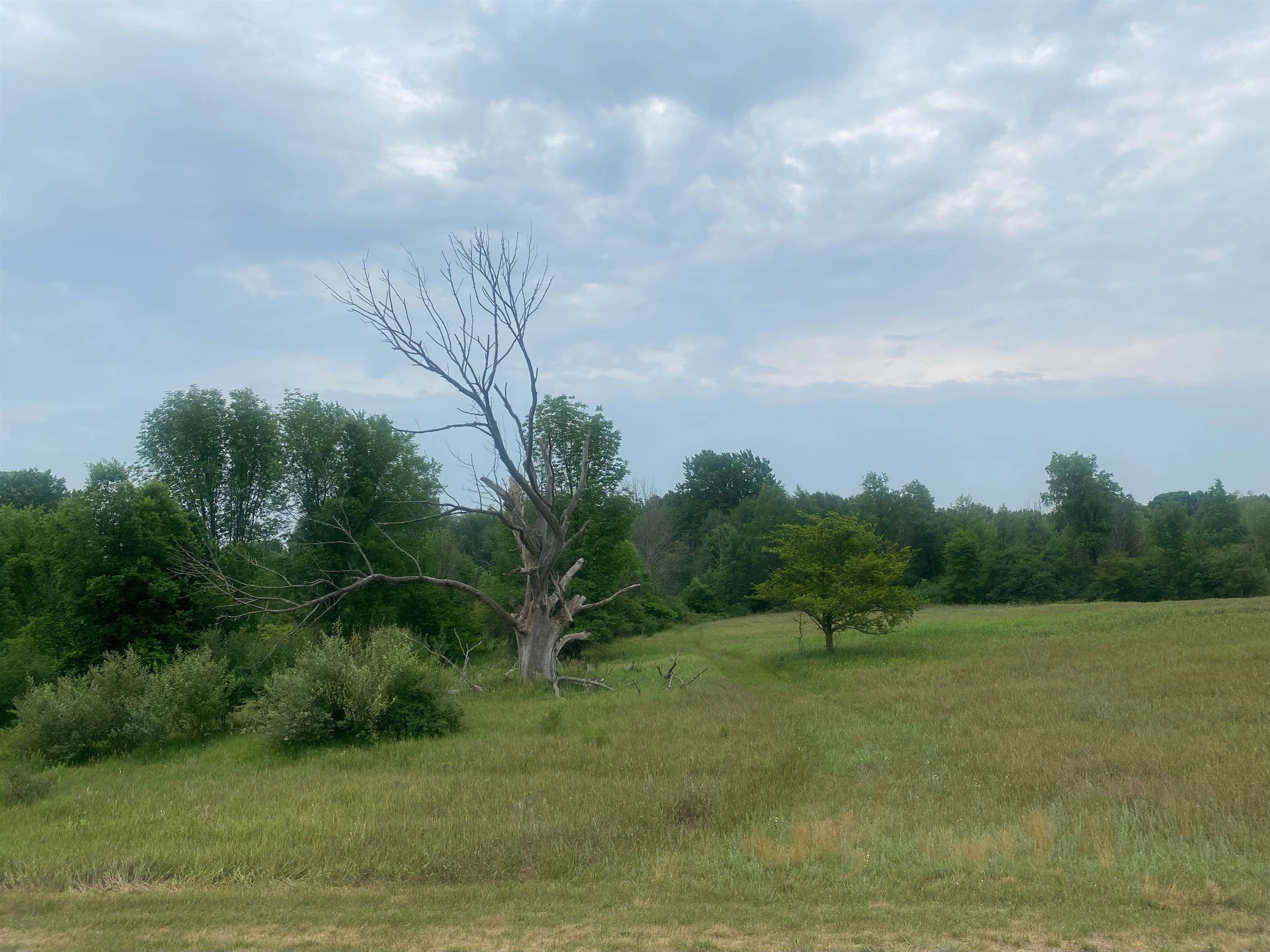 Four 4 Mile Road Evart, MI 49631 - Photo 11 of 38