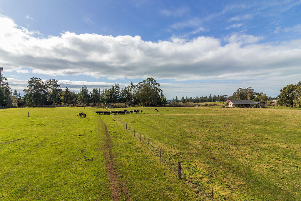 117 Table Bluff Road Loleta, CA 95551 - Photo 108 of 127 109