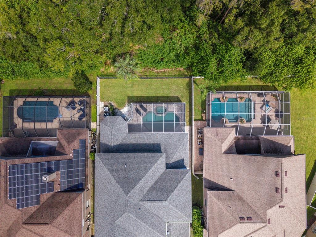 11621 Renaissance View Court Tampa, FL 33626 - Photo 3 of 83 Gallery Image 3
