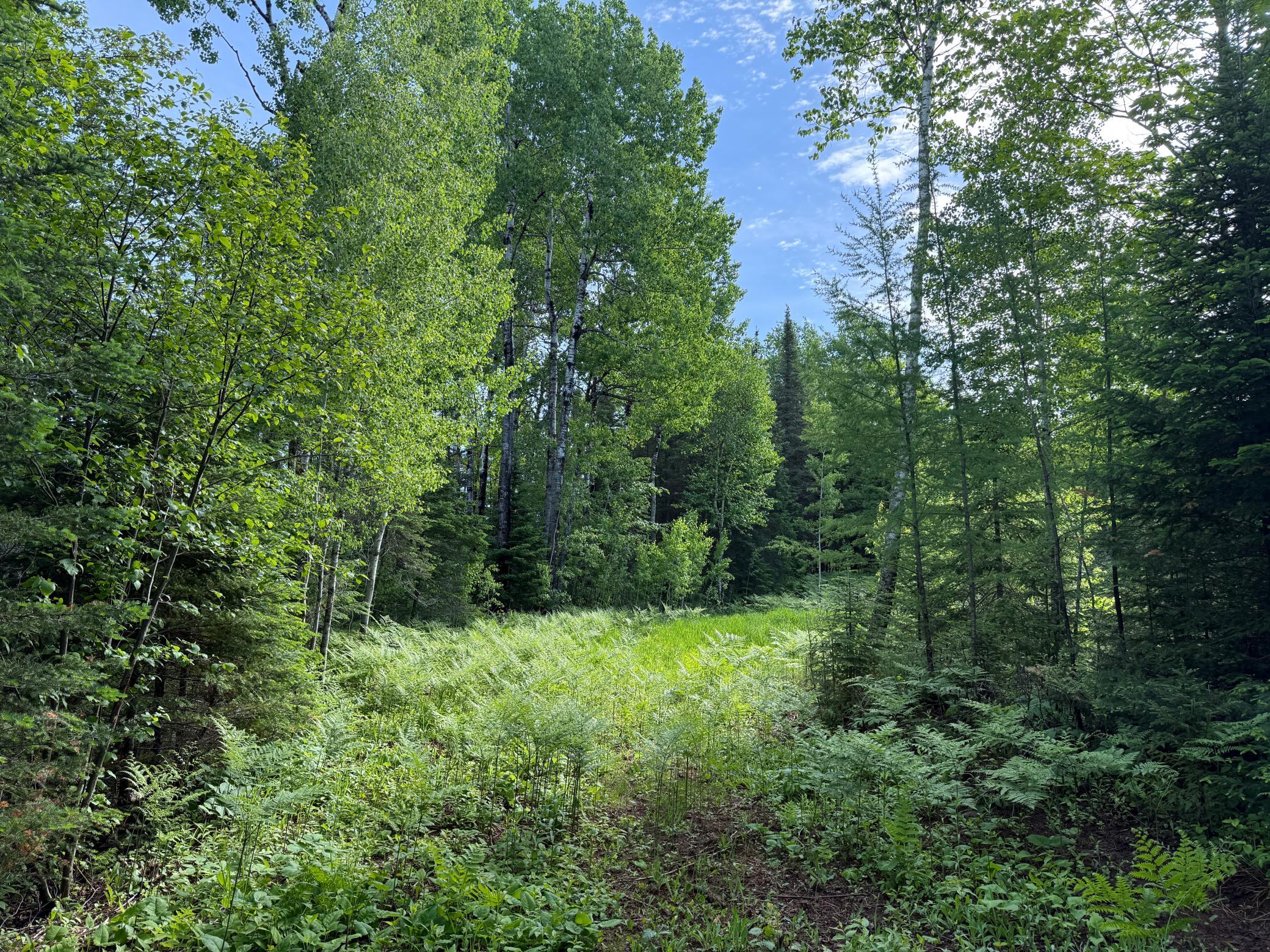 Tbd Arnold Road Duluth, MN 55803 - Photo 22 of 35